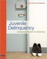 Image of Juvenile Delinquency : Bridging Theory To Practice